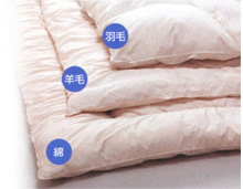 �ӂƂ�ې􂢑�z���޽