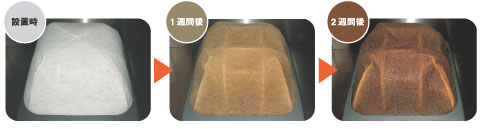 2�T�Ԃł���Ȃɖ�������L���b�`���܂�