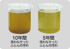 10�N�Ԑ��Ȃ������ӂƂ�̉����5�N�Ԑ��Ȃ������ӂƂ�̉���̔�r