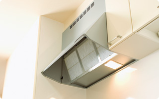 �_�X�L���̃����W�t�[�h�t�B���^�[